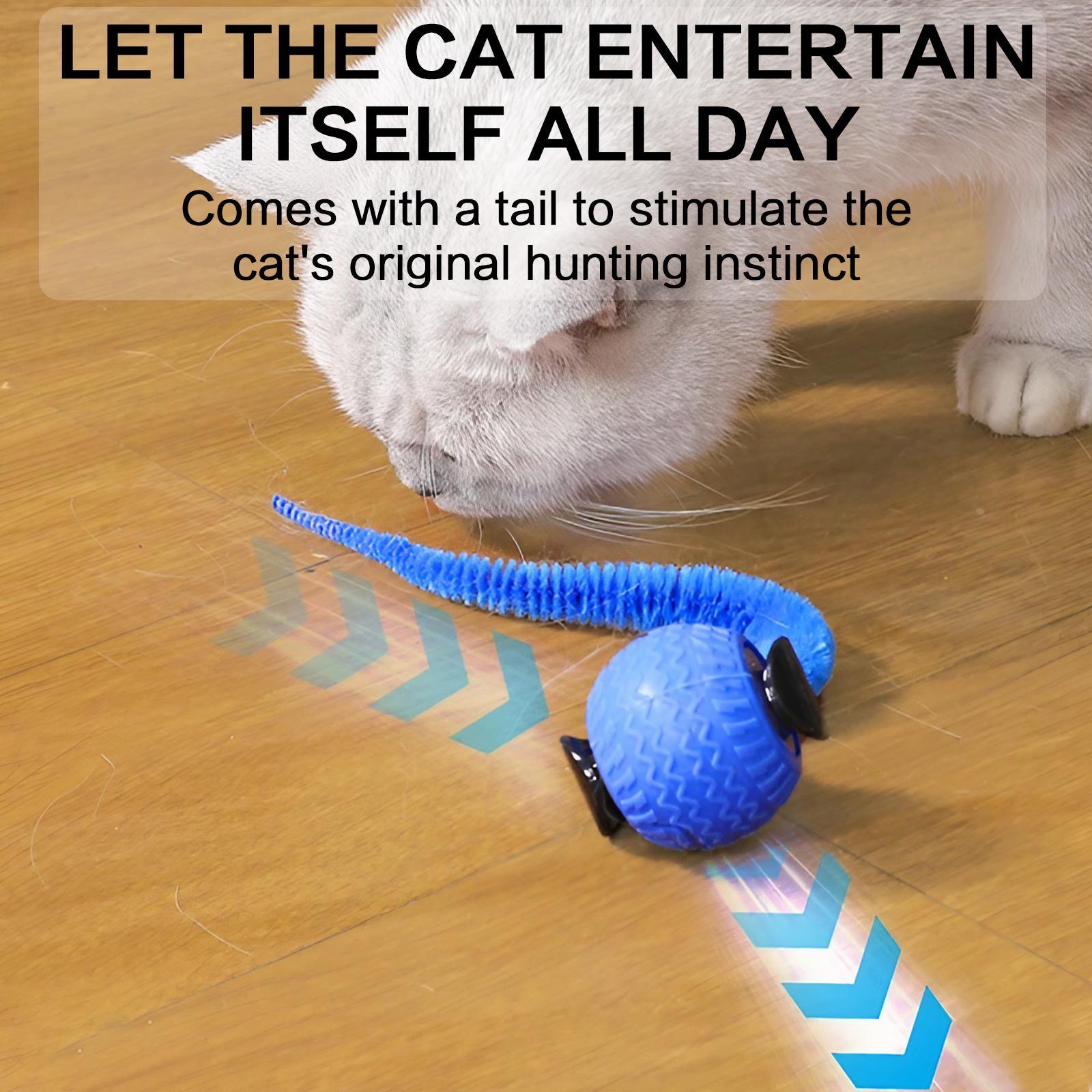 Interactive Cat Toy Ball, 1 Count/2 Counts Rechargeable Cat Teaser Toy, Durable Toy for Playing & Exercising, Fun Indoor Cat Accessories