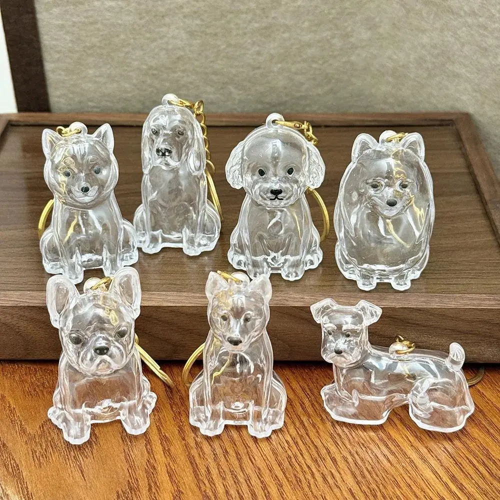 Cute Dog Hair Storage Box Memory Keychain Fur Container Keychain Pendant Transparent Capsule Souvenirs Dustproof Box Gift