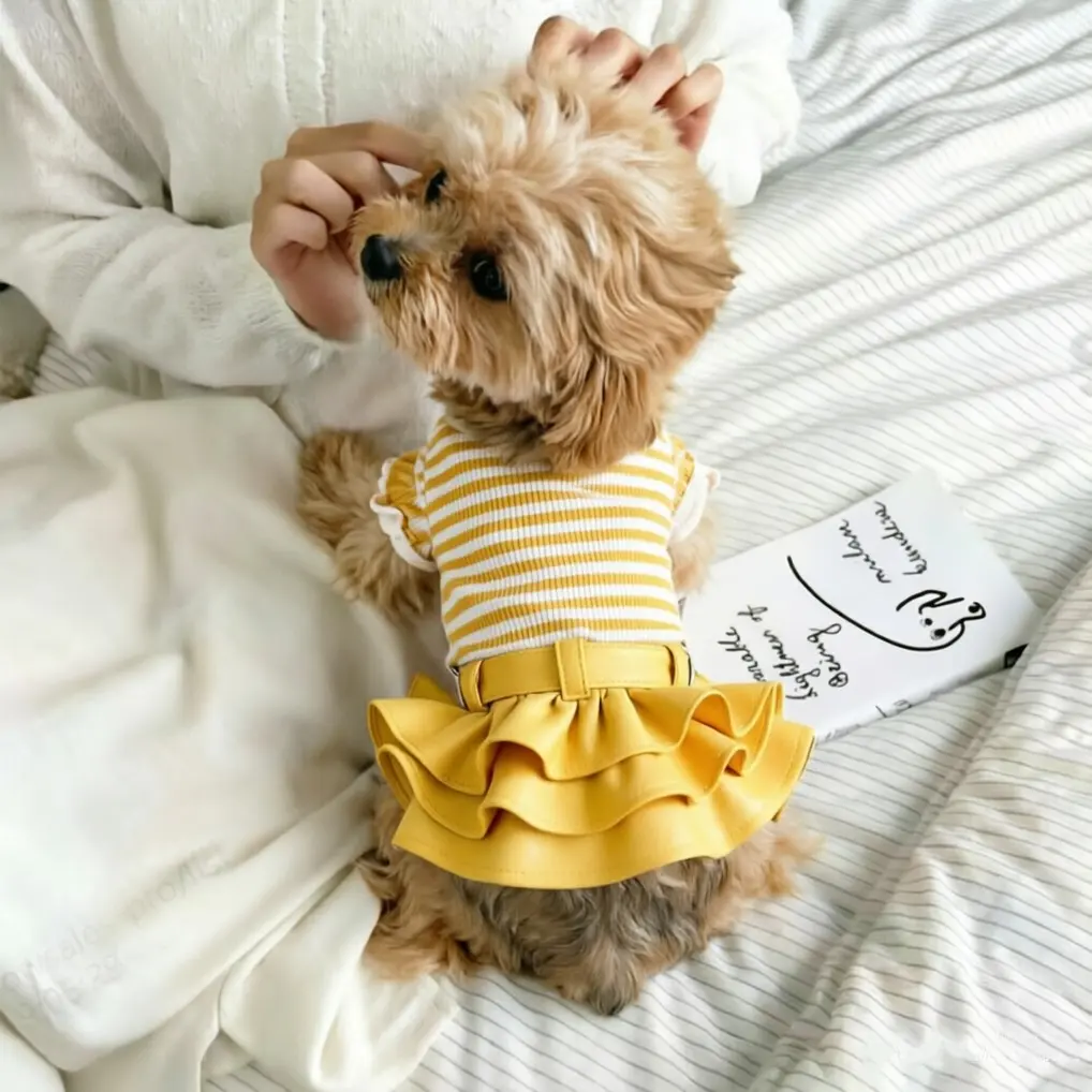 Handmade Homemade Striped Pet Leather Skirt for Dogs and Cats, Universal Size, All Seasons, Graphic Pattern, No Ca Prop 65