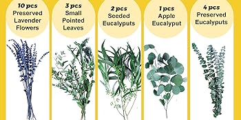 AGS 5 Kinds Mix Dried Eucalyptus & Lavender Flowers Bundle for Shower , 15''-17''Natural Real Fresh Preserved Eucalyptus Leaves and Lemon Hanging Plants, Home Bathroom Decor, Fragrance