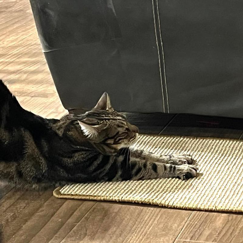 Cat Scratcher, Sisal Cat Scratcher, Mess-free Cat Scratcher, Sofa-safe Design for Exercise & Rest, Perfect Gift for Cats