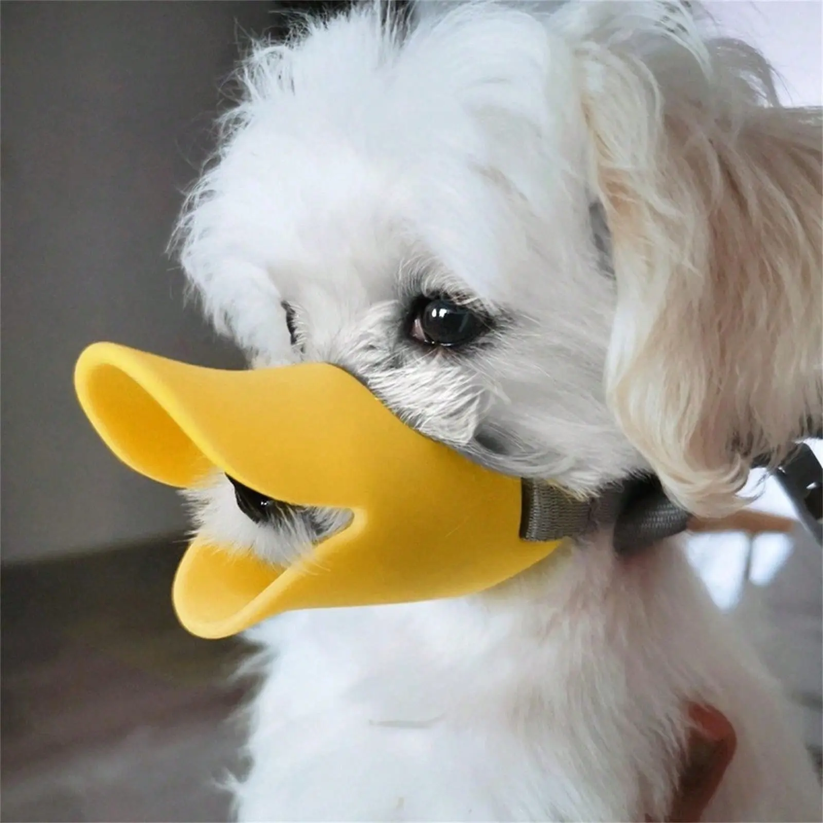 1pc Silicone Dog Muzzle - Anti-Bite, Anti-Eating, Anti-Barking Duck Mask for Small Pets