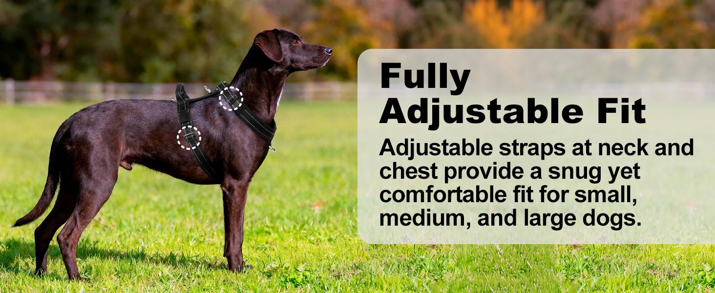 No Pull Dog Harness with Handle, Soft Mesh Padded Adjustable for Small Medium Large Dogs| Reflective Easy Walk Harness with Front Clip for Training, Running & Outdoor (Black, L)