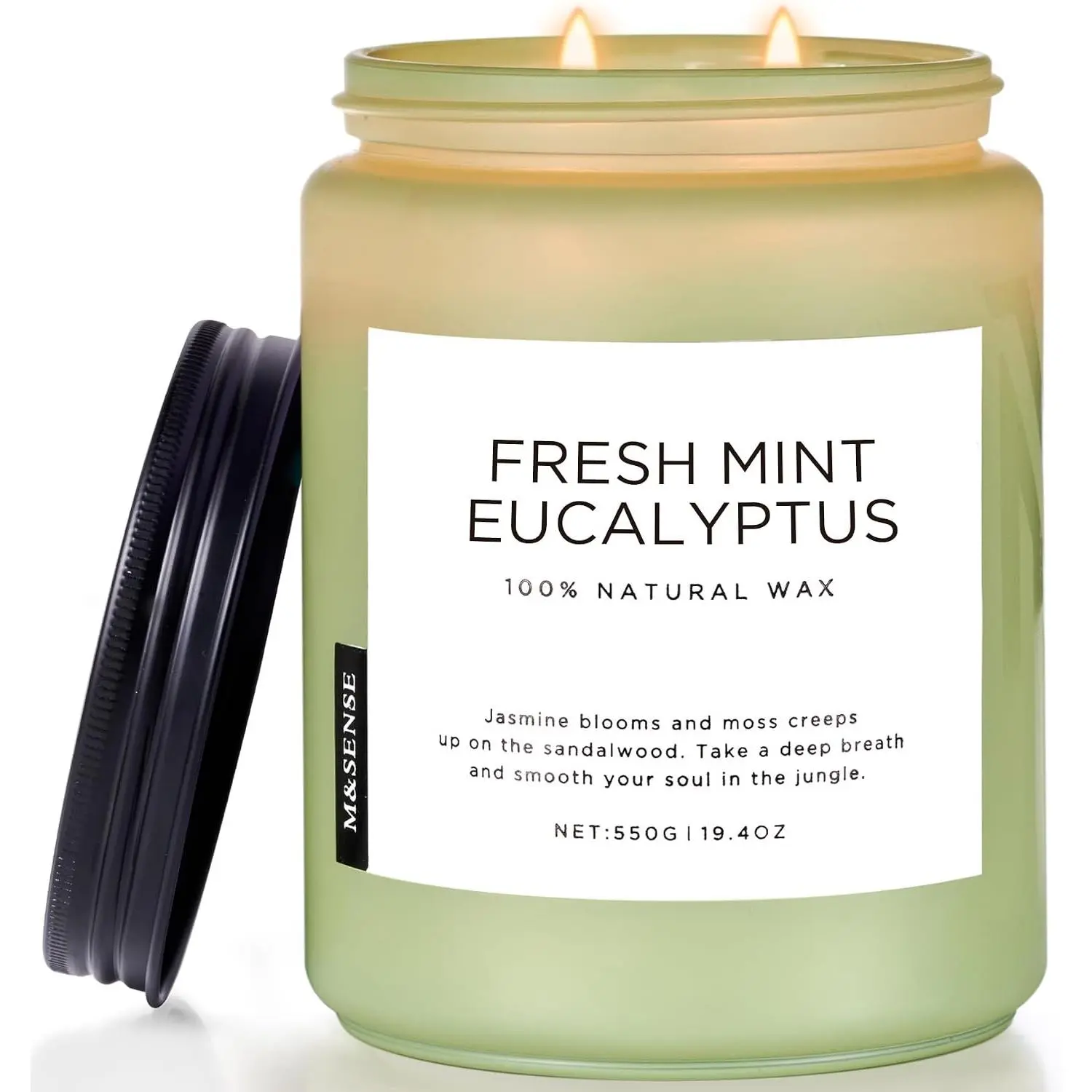 Eucalyptus & Mint Scented Jar Candle, Large 19.4oz Natural Soy Wax, 110-Hour Long Lasting Non-Toxic Clean Burning, Fresh Smelling Home Aromatherapy for Spa Stress Relief, Gifts for Men WomenGift.