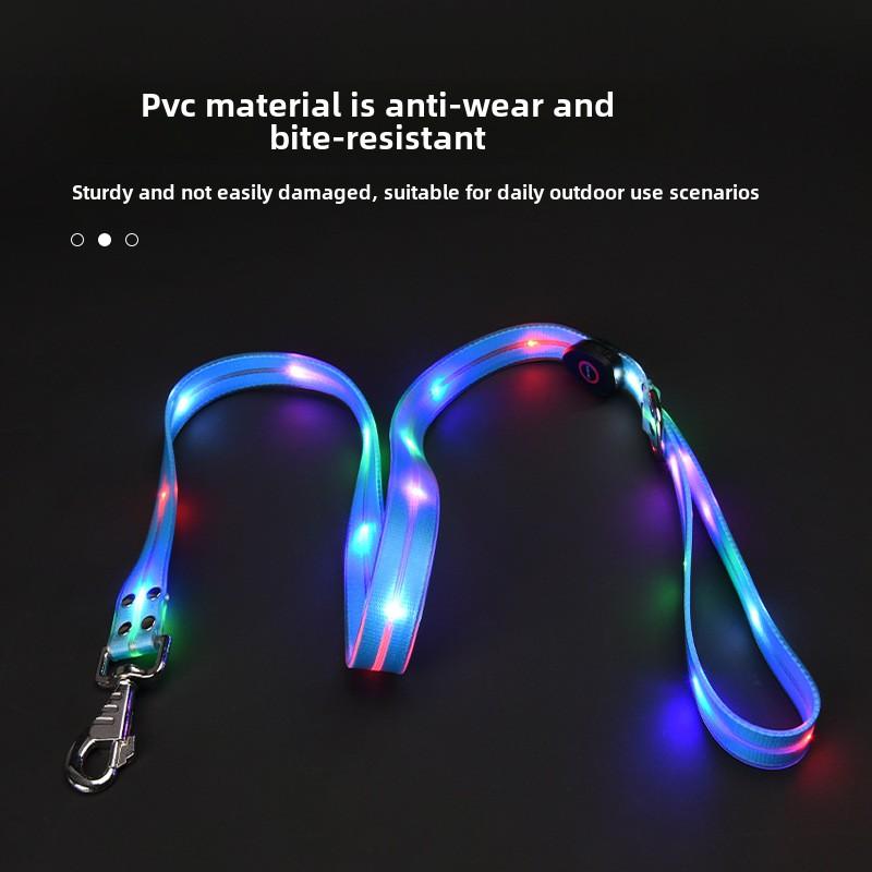 【Pet Essential】USB rechargeable luminous leather belt LED flashing collar with adjustable brightness, extremely cool. christmas  collar light  up Adjustable LED iyoshop  dog harness