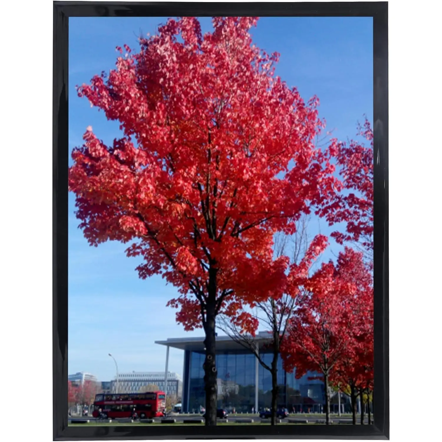 20x30 Poster Frame for Schools and Colleges, 1 Pack