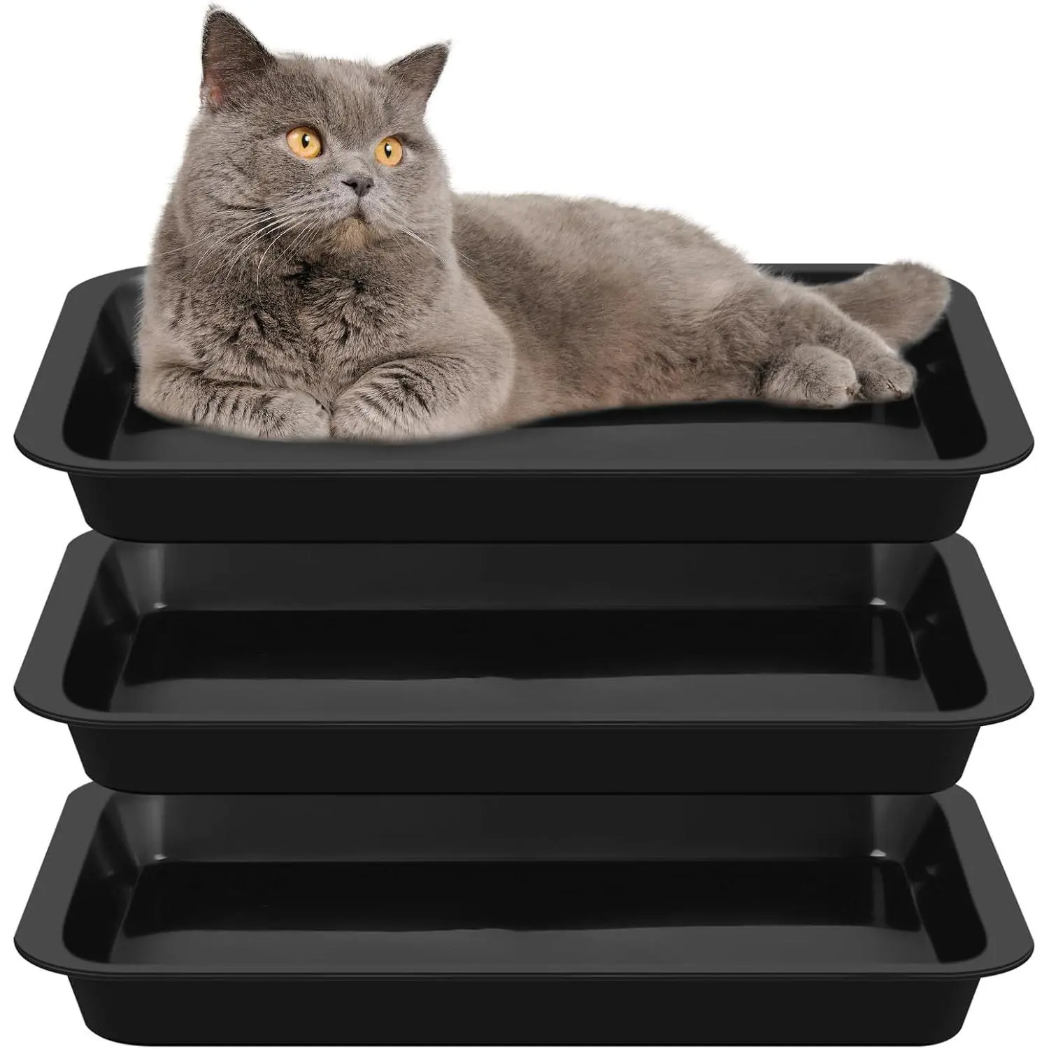 3 Pcs Kitten Litter Box Shallow Low Entry Open Cat Litter Box Waterproof Plastic Small Rabbit Pan Tray Travel Toilet for Senior Cat Kitten Training(Black,15.1 x 12 x 1.4 Inch)