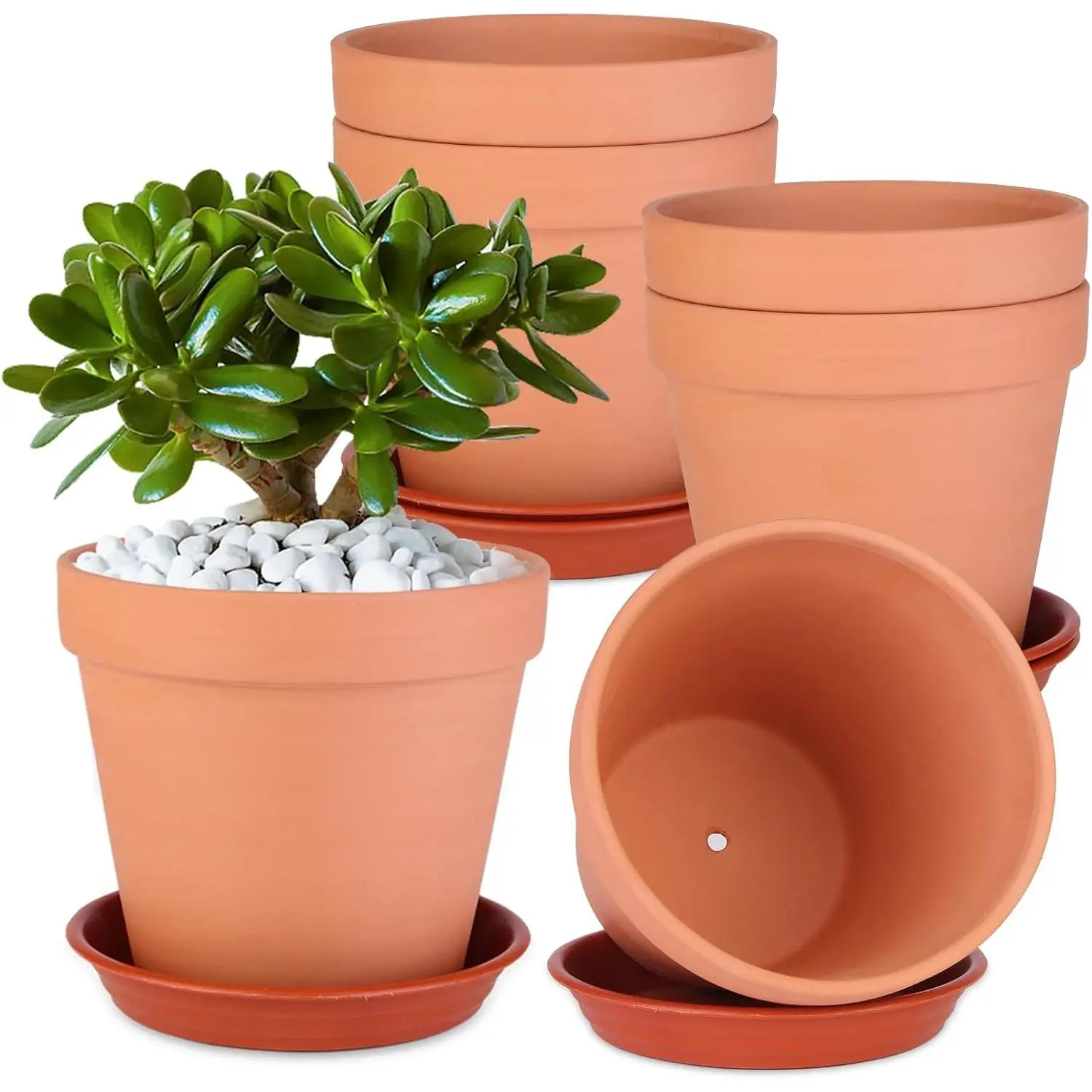 6 Pack 6 Inch Terracotta & Clay Pots with Saucer for Plants, Large Terra Cotta Plant Pot with Drainage Hole, Flowerpot for Indoor Outdoor Plants, Crafts, Wedding FavorGift.