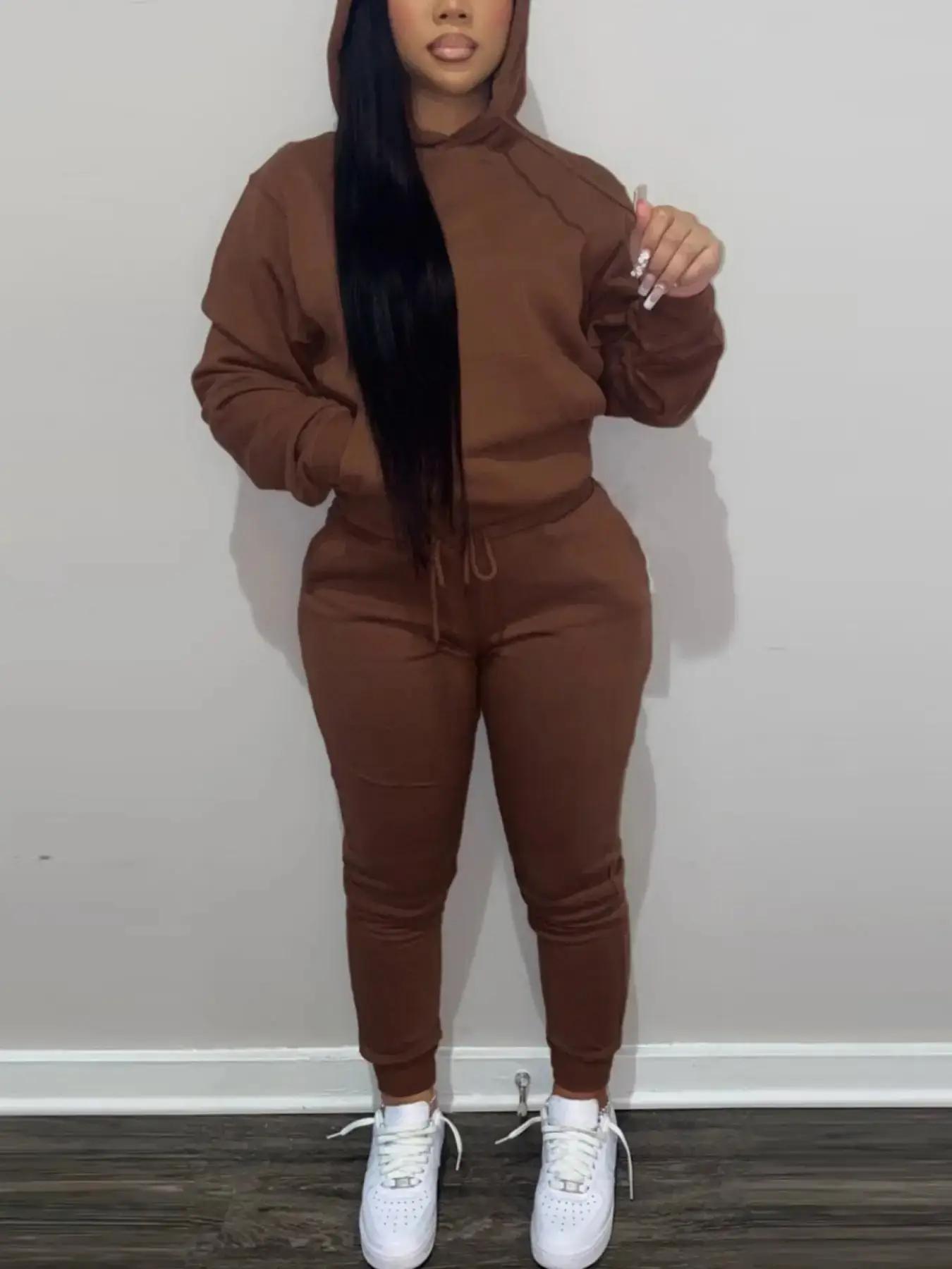 Casual Basic Plain Drawstring Hoodie Sweatshirt Outfit Set, Fitted Regular Length, Moderate Knit Fabric, Fall & Winter Wear, Women's Clothing