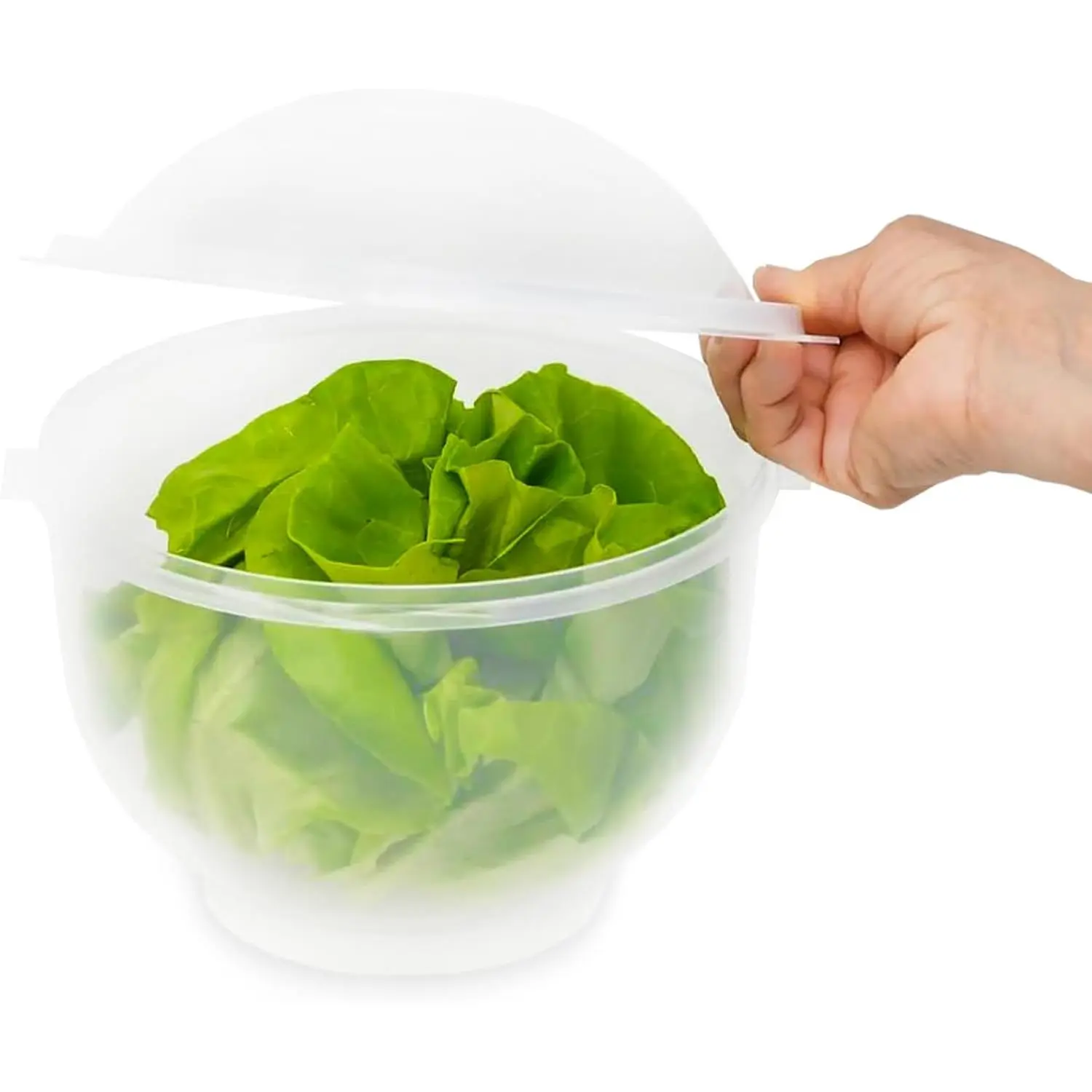 Lettuce Keeper - BPA-Free Lettuce Keeper for Refrigerator to Keep Salads and Vegetables Fresh - 7" x 8" Lettuce Crisper with Drainage Reservoir - Clear See-Through Vegetable and Fruit Crisper