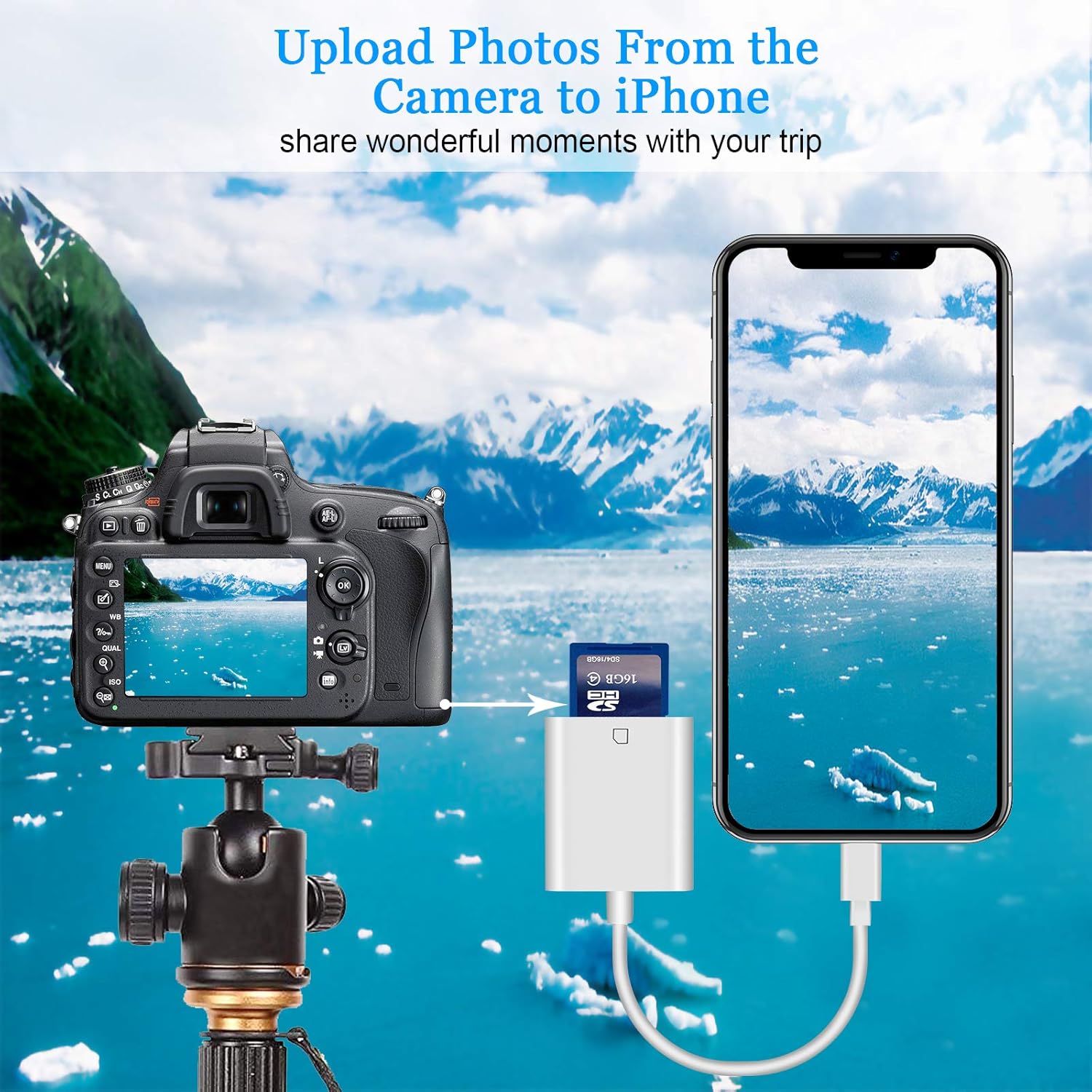 Lightning to SD TF Card Camera Reader Digital Camera SD Card Reader for Select , iPad Models (Support iOS 16 and Before), Trail  Camera Viewer, No App Required (White)