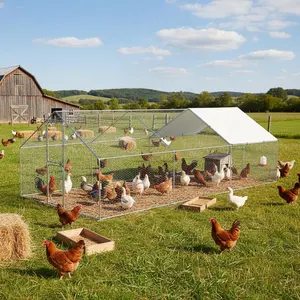 Heavy-Duty Walk-In Metal Chicken Coop for Backyard & Farm – Dual Doors, Galvanized Frame, Waterproof UV Cover, Spire Roof, Large Poultry Hen House, Ideal for Ducks & Quails, 9.8' x 19.7' x 6.6'