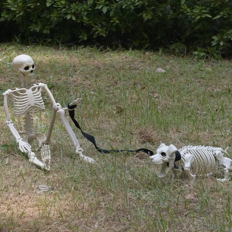 Realistic 36-Inch Halloween Skeleton Decoration, Indoor Outdoor Use, Moveable Full-Body Skull for Garden Party Ghost House Cemetery