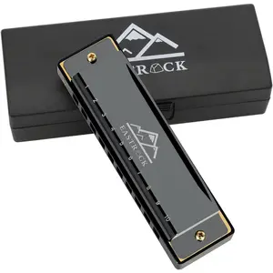 Blues Harmonica Mouth Organ 10 Hole Key with Case, Diatonic Harmonica for Professional Player, Beginner, Students gifts, Adult, Friends, Gift Black