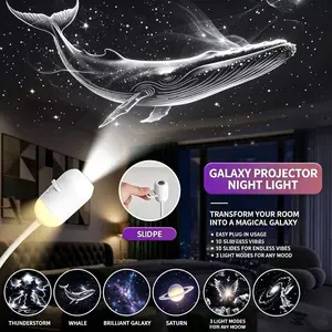 2-in-1 Projector Night Light,USB Galaxy Projector with 12 Random Sliding Projection Films,Starry Sky Night Light Projector with Adjustable Brightness for Car,Room Decor, wall lamp, a wonderful gift