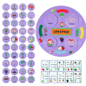 Plant and Fruit Life Cycle Simulation Kit, Preschool Cognitive Development Flashcards, Montessori Teaching Toy Set, Learning Tools for Early Biology and Science Education in Schools and Homes, Plant Life Cycle Puzzle, Holiday Gifts for Boys and Girls