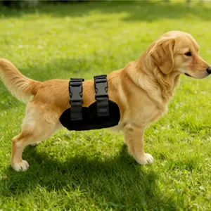 Doggy Underwear for Male Dogs, Anti-Harassment, Prevents Unwanted Mating, Teddy Bear Style, Stops Accidental Urination, Comfortable Fit