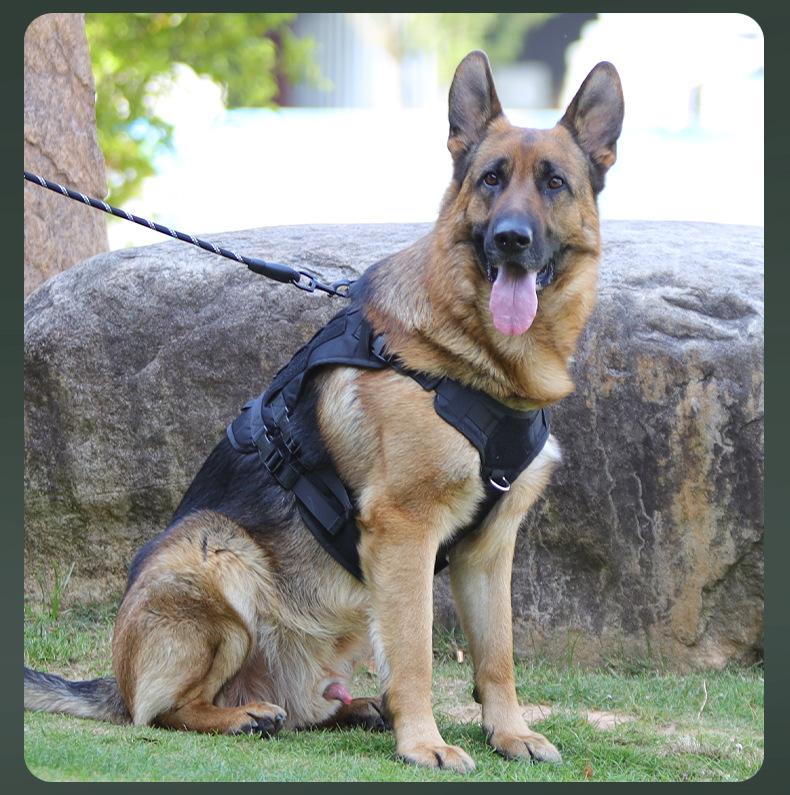 Tactical Dog Harness – Universal Harness, Walking Harness & Safety Harnesses for Small to Large Dogs, Durable Reflective, Easy to Control, No Pull Adjustable Pet Harness, Pet Supplies