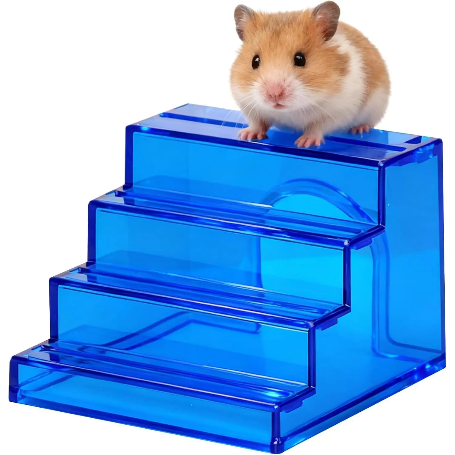 Hamster Wheel Climbing Ladder Hideout Bridge with Hamster House Chamber for Dwarf Hamsters Mice Small Animals Habitat Décor (Blue)