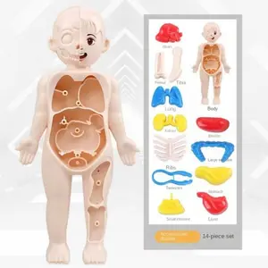 Human Anatomy Model Toys, Educational Anatomy Models – Made of silicone and plastic, easy to assemble, ideal for children’s science education. Features a realistic internal organ system science learning tool for teens, educational science toys