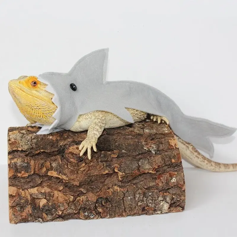 Reptile pet supplies: funny lizard costumes, chameleon outdoor walking lizard shark costume, felt cloth lizard transformation outfit