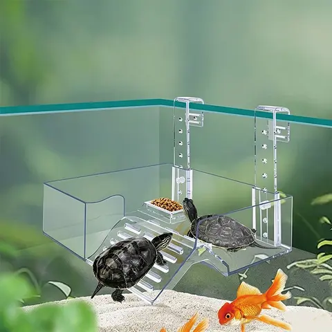 Transparent Turtle Sunning Platform, Wall-Mounted Reptile Resting Spot, Fish-Turtle Mixed Tank Feeding Hook, Aquarium Decorative Climbing Rack, Attractive Habitat