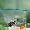 Transparent Turtle Sunning Platform, Wall-Mounted Reptile Resting Spot, Fish-Turtle Mixed Tank Feeding Hook, Aquarium Decorative Climbing Rack, Attractive Habitat