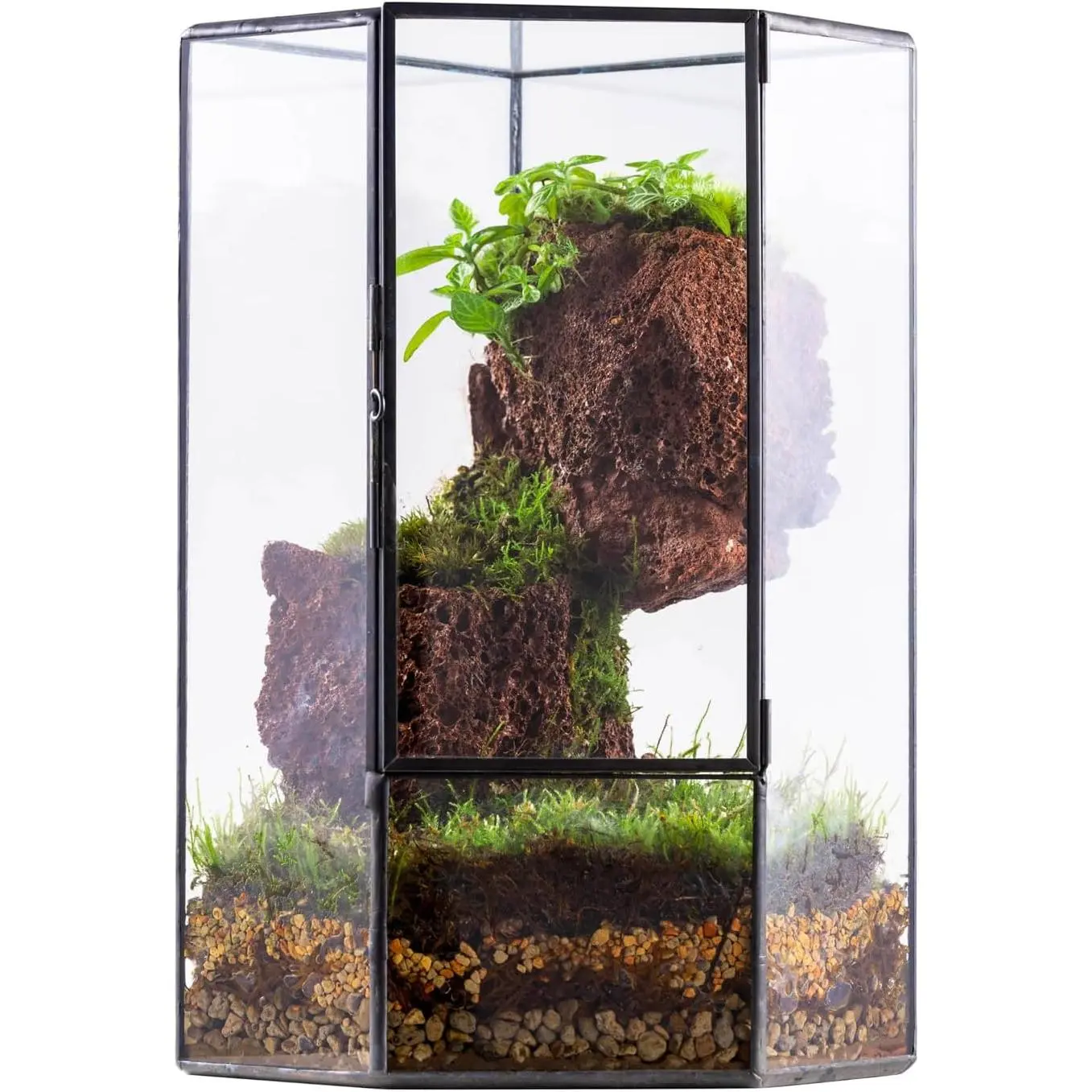 Glass Terrarium with Front Opening Door for Small , Moss Wall | Closed Geometric Pentagon Planter, Indoor Tabletop Wall Corner Landscape Decor, Black, 5" x 5" x 9.8" (Terrarium Only)