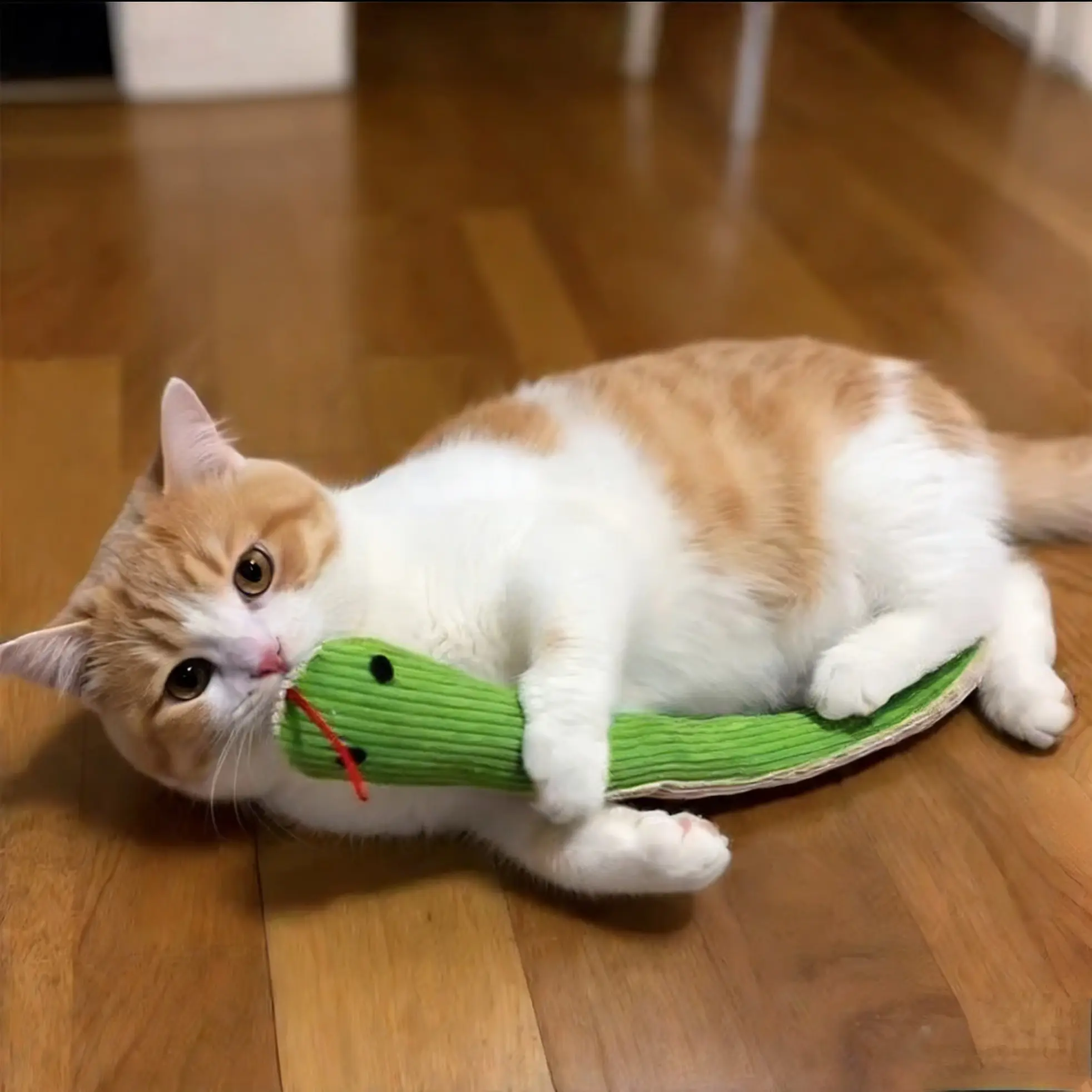 Interactive Pet Toy for Cats and Dogs, Snake Toy with Crinkle Sound, Chewable and Fun, Energy-Boosting Dog Pull Toy