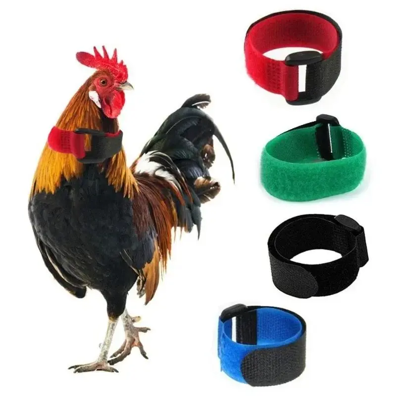High-Quality Adjustable Nylon Pet Chicken Collars - Crow Control Rooster Collars, Hook-Free Neck Tie Christmas Pet Supplies Set Pack