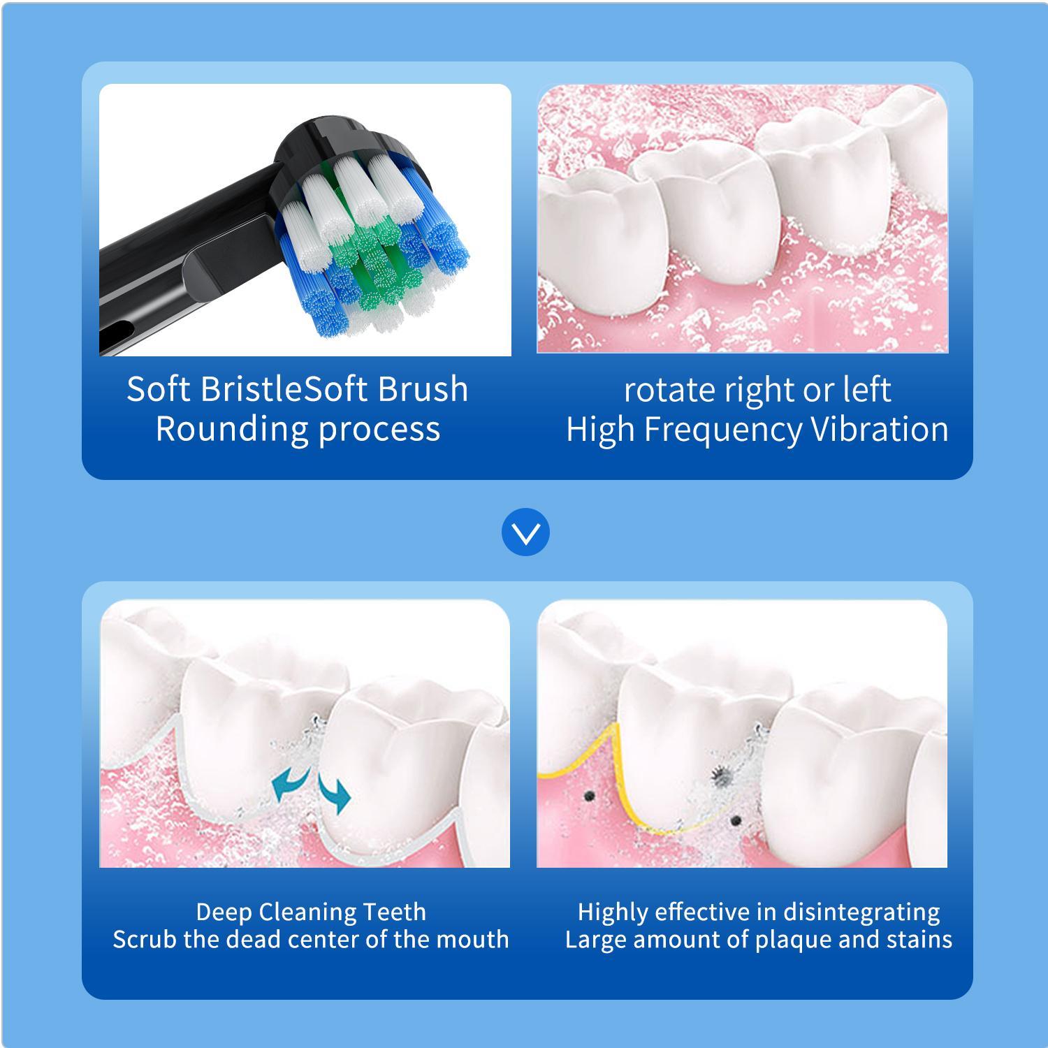 Electric Toothbrush with 8 Counts Brush Heads, 1 Box USB Rechargeable Waterproof Rotating Toothbrush with 3 Cleaning Modes, Oral Care Product for Adults