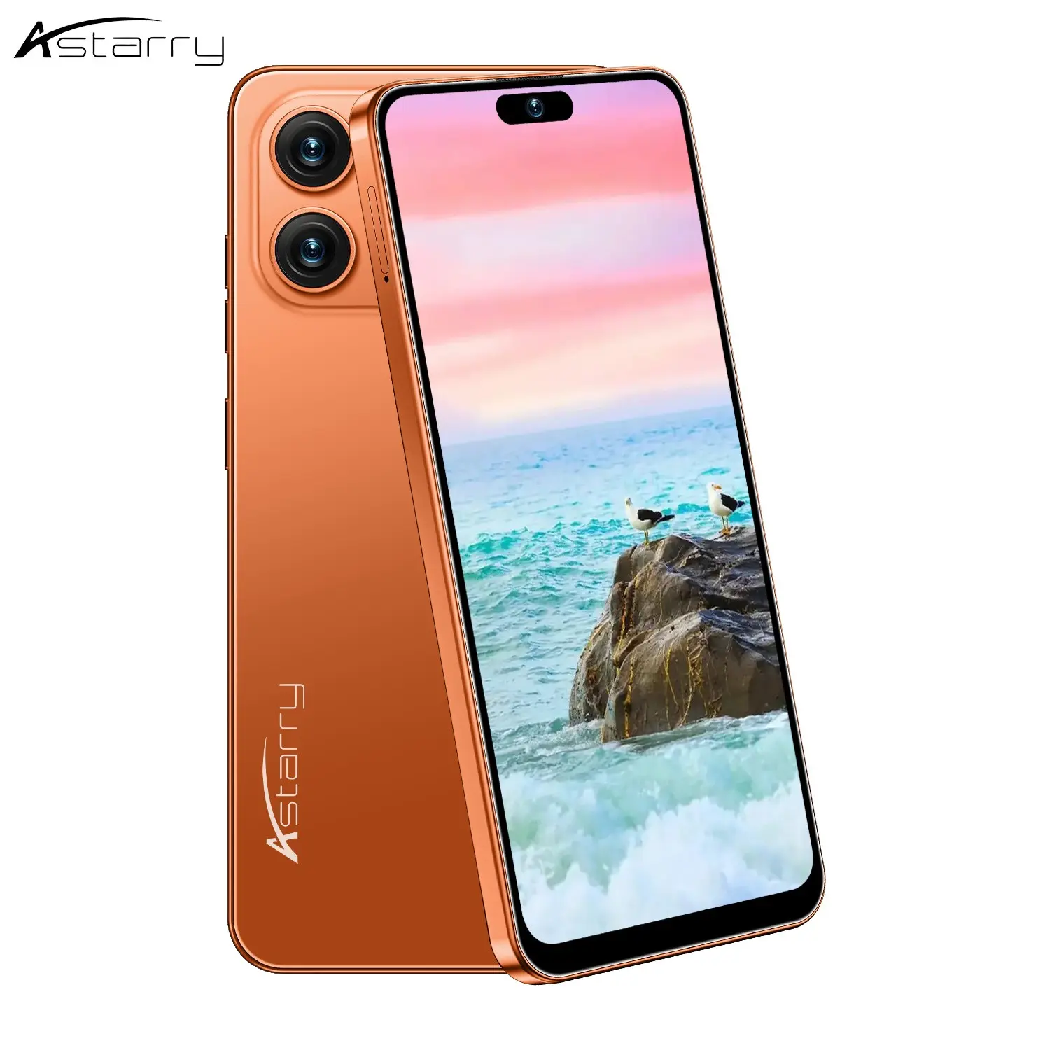 Astarry-17 Pro Max Smartphone, 6.93-inch Display, 4G Global Unlocked Dual SIM, 6GB RAM+64GB ROM, Android 12.0 OS, 5000mAh Large Capacity Battery, Octa-Core Processor, 16MP+20MP HD Camera, Slim & Stylish Android Mobile Phone, Large Screen Smartphone