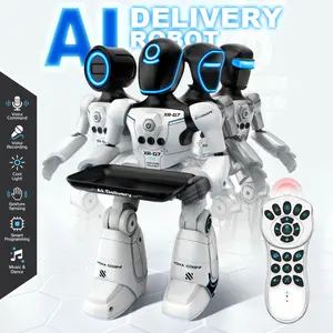 2.4GHz Mini Remote Control Smart Robot, Voice Command, Gesture Sensing, Recording, LED Lights, Programming, Dance Music, Christmas Gift