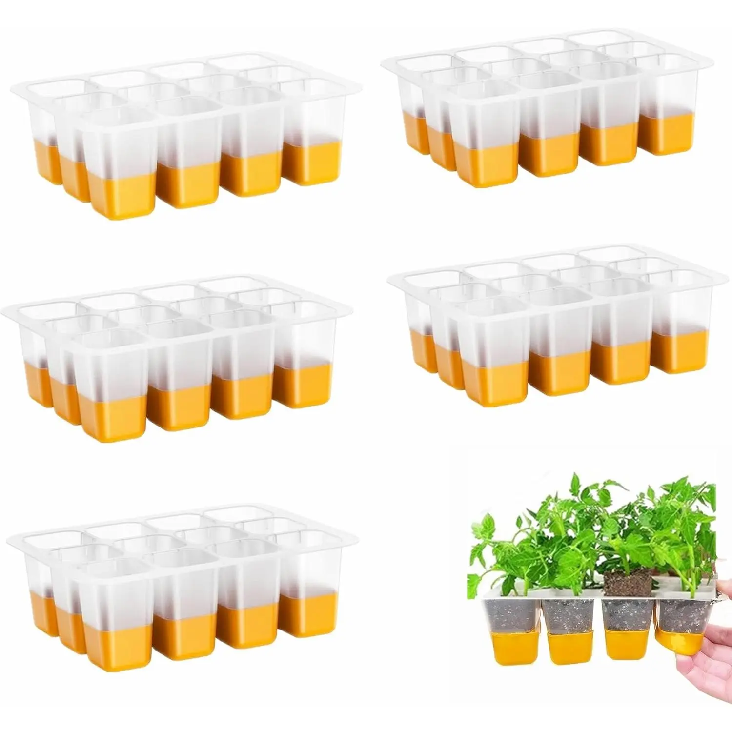 6 count Seed Starter Tray,  Seeding Starter with Pop-Out Cells