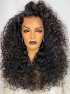 Soft Long 26 Inch 180 Density Black Kinky Curly Deep 13x4 Front Lace Wig, Glueless  Pre-Plucked Heat Resistant Daily Wear Wig