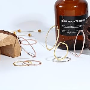 FINREZIO 1 Pair Post Hoop Earrings Hoops Cubic Zirconia Hoop Earrings for Women Hypoallergenic Earrings Jewelry