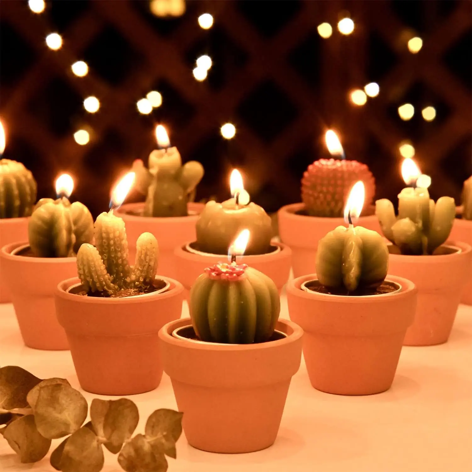 12 count Cactus Tealight Candles Bridal Shower Gifts Boho Mexican Party Decorations Succulent Candle Mini  Light  Shower Favors Novelty Fiesta Terrarium  Candles Bulk