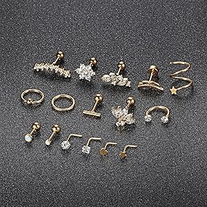 16Pcs Mixed 16G-20G Stainless Steel Cartilage Earring Set | Silver | Gold & Rose Gold Piercing Kit | Helix, Rook, Conch, Tragus & L-Shaped Nose Rings | Hypoallergenic Body Jewelry for Women
