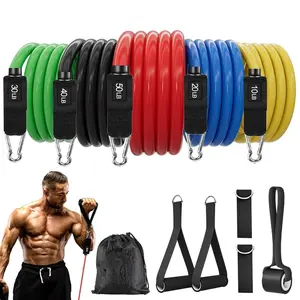 Resistance Bands, Exercise Bands, Workout Bands with Handles, Door Anchor and Ankle Straps, 5 Resistance Levels Fitness Bands for Strength Training, Physical Therapy, and Home Gym Equipment