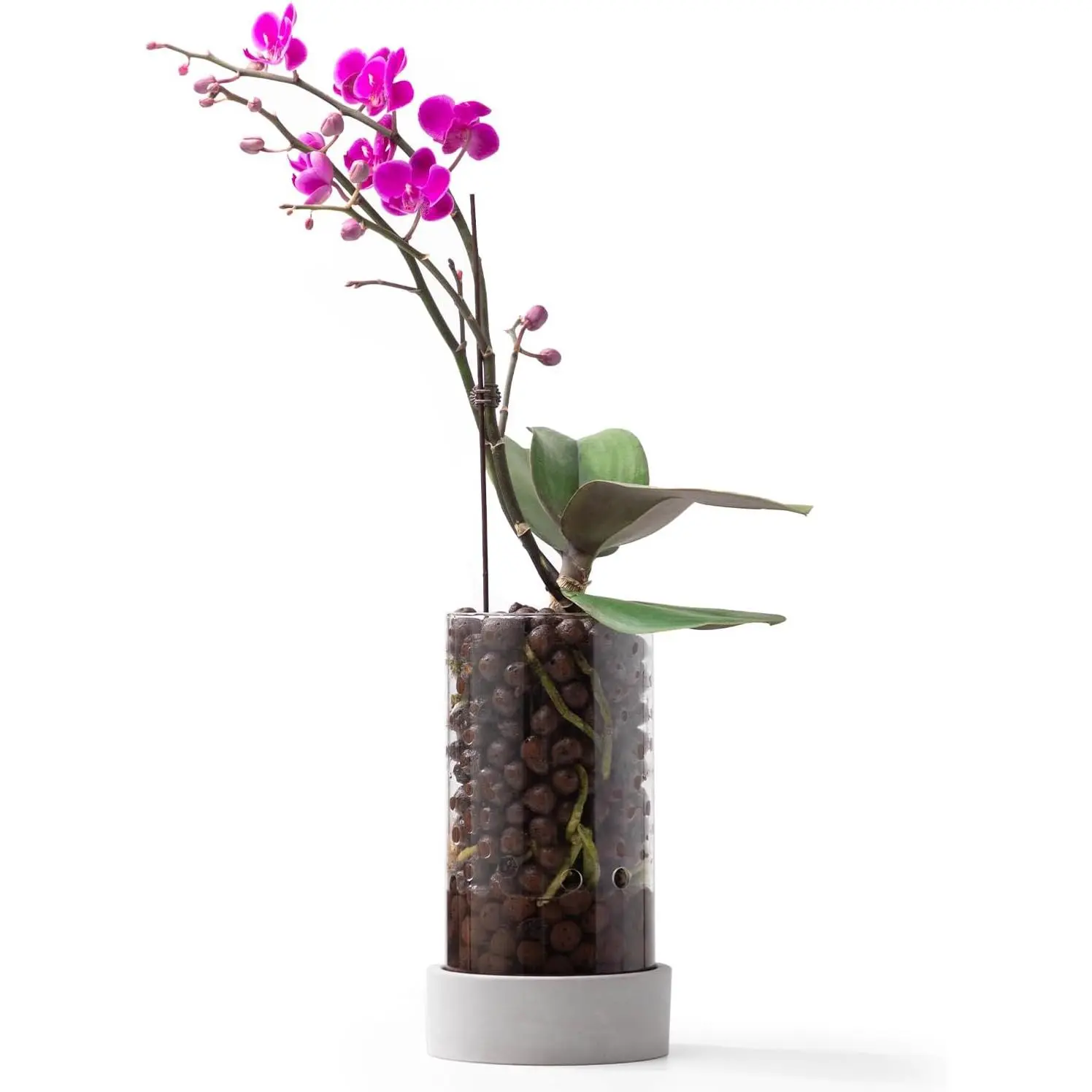 Glass Orchid Pot, 4 inch Clear Orchid Pot with Holes for Repotting, Visual, Well-Ventilated, Providing a Stable and Healthy Growth Environment for Plants