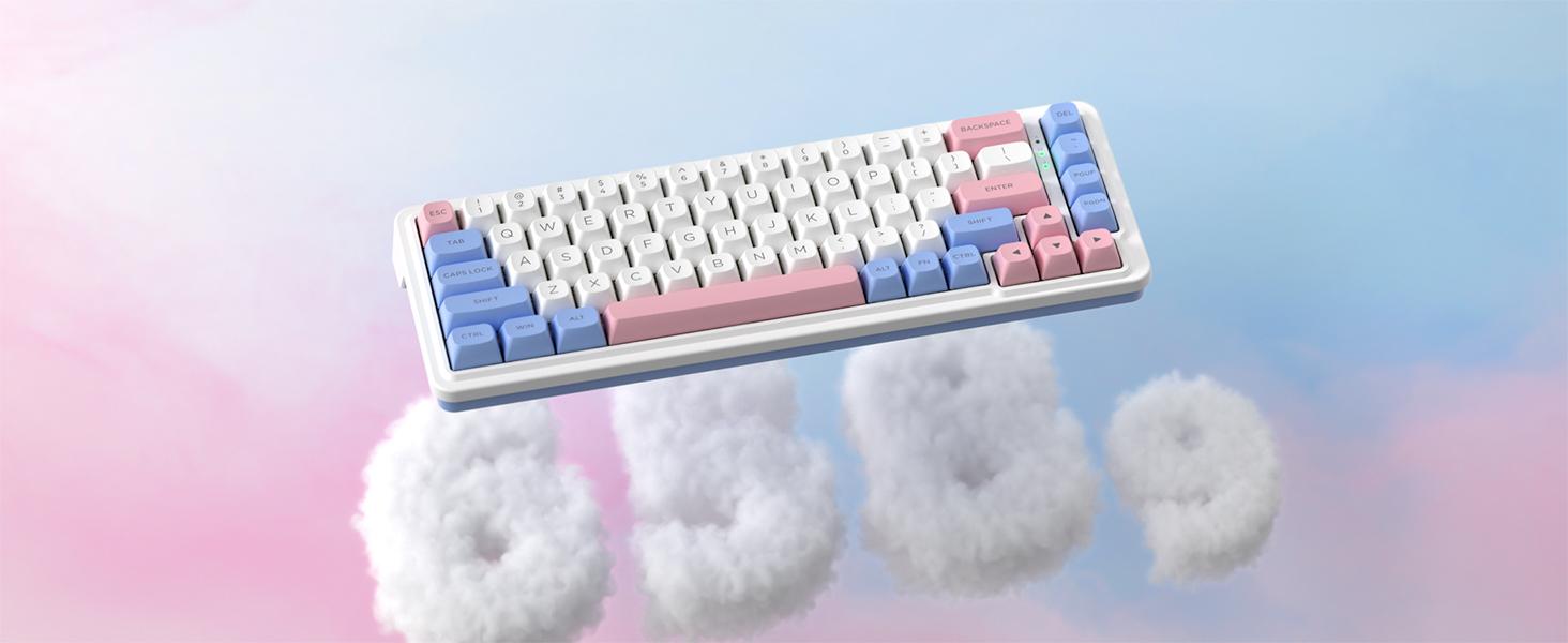 Redragon K709 PRO 65% Wireless Gasket RGB Gaming Keyboard, 68 Keys Hot-Swap Compact Mechanical Keyboard w/Free-Mod Socket, 5-Layer Noise Dampening & Round PBT Keycaps, Quiet Custom Linear Switch