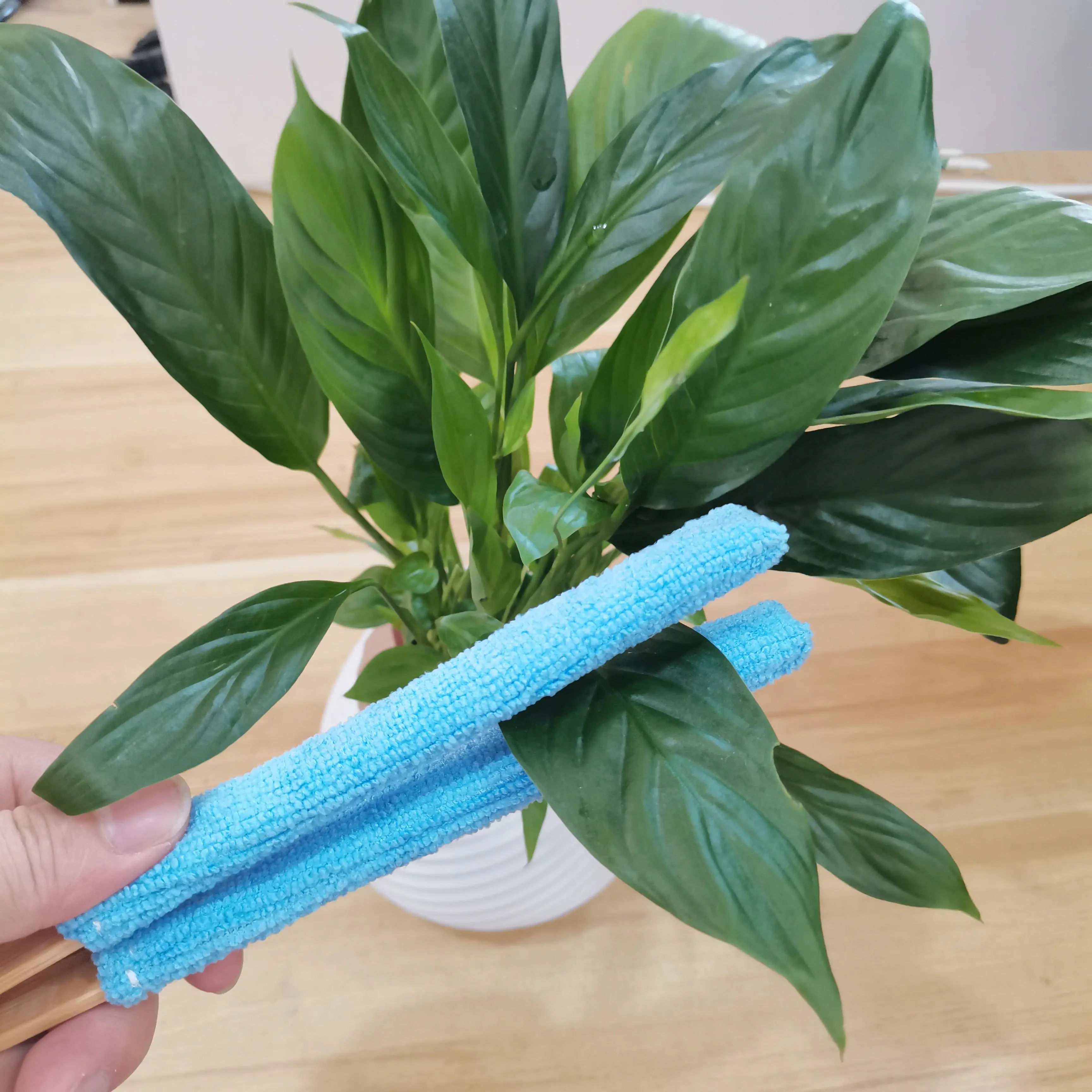 1pc Handheld Soft Bristle Leaf Cleaning Brush with Wooden Handle- Perfect Choice for Home, Garden, and Outdoor Use