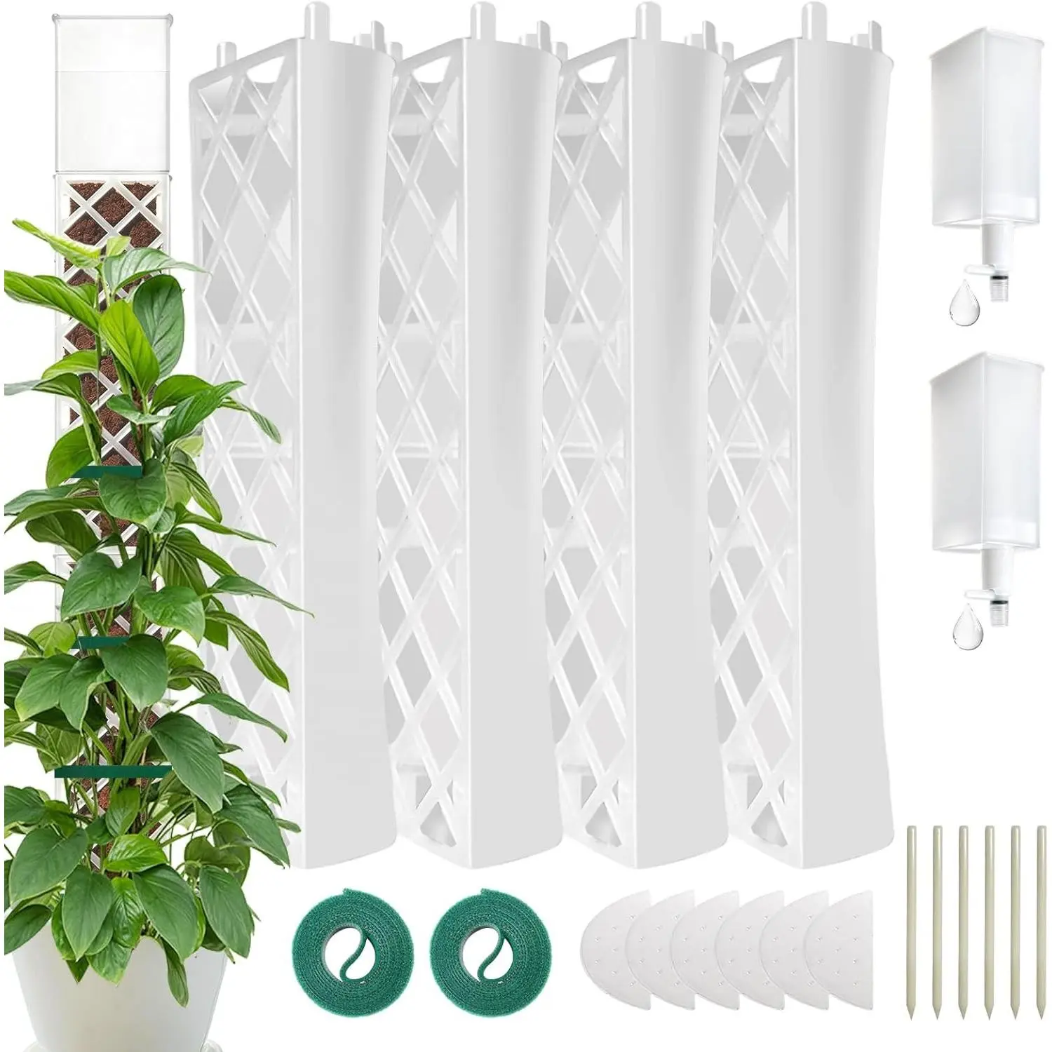 Self Watering Moss Pole for Monstera, Stackable Clear D Shape Moss Pole with Watering Dripper, Indoor Climbing Plant Support for Pothos and Philodendron