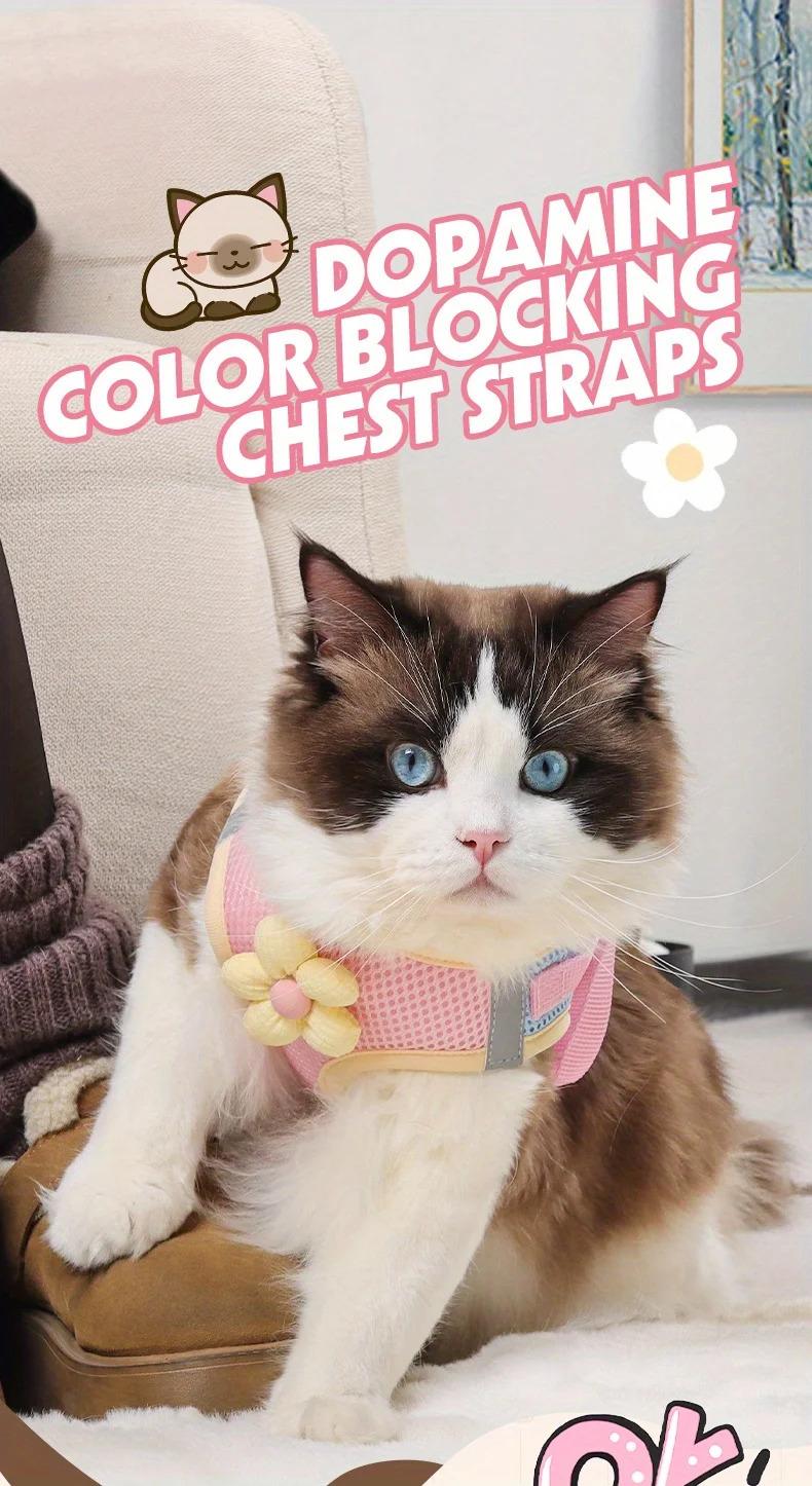 Cat Dog Harness and Leash Breathable Mesh Pet Chest Straps for Cats Puppy Walking Lead Ragdoll Chihuahua Vest Harness Bulldog