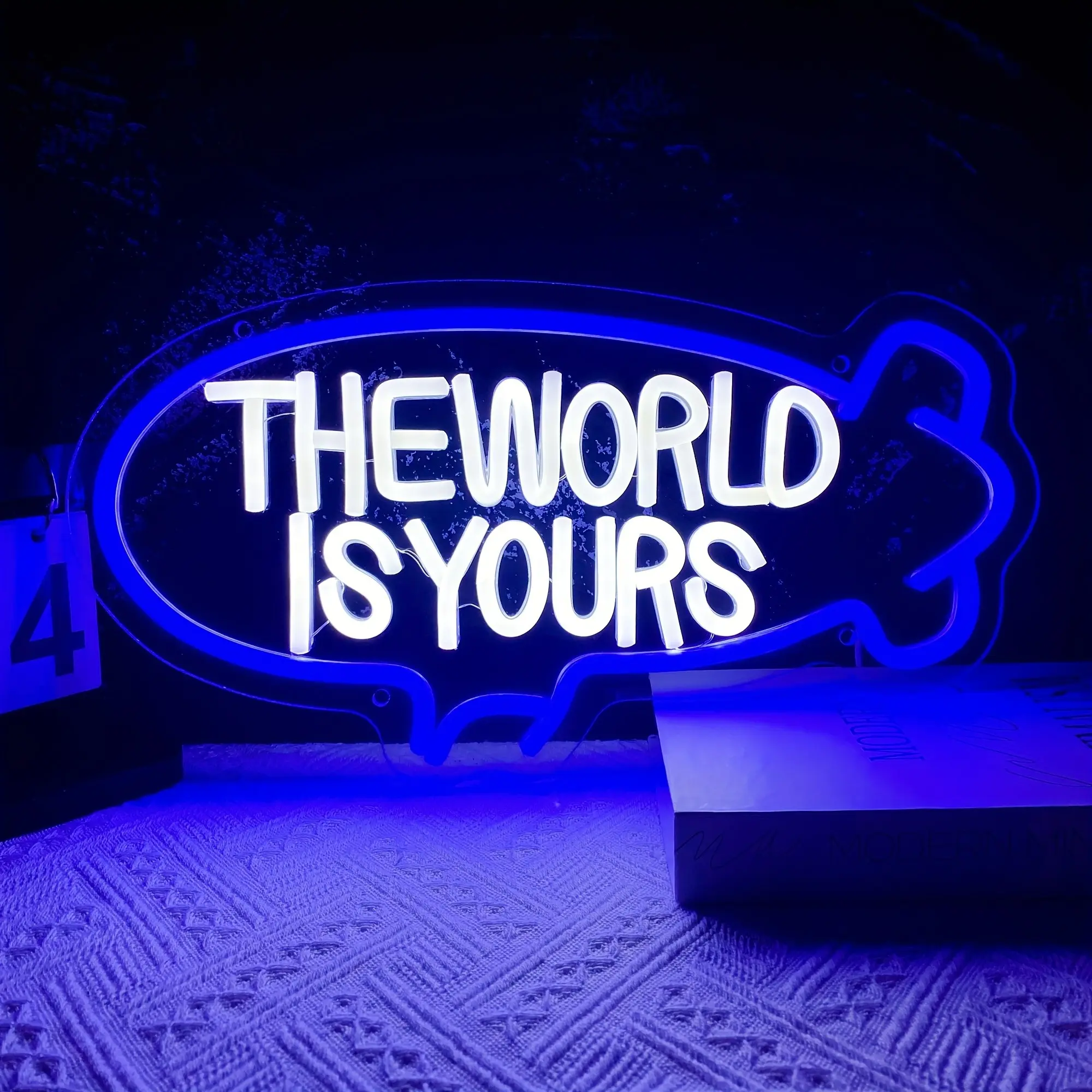 The World Is Your Neon Light, Airship LED Neon Light, Home Decor Lighting Suitable For Bedroom, Bar, Game Room, Wedding, Birthday Party Gift