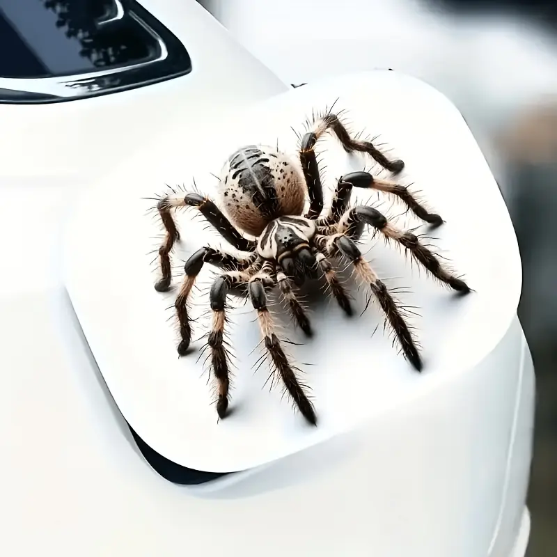 Realistic Spider Vinyl Decal, Self-adhesive, Glossy, Car Decals, Suitable for Vehicles, Laptops, Mobile Devices, Glass, Walls, Containers, Spider Themed Decoration, Easy To Stick and Leave No Residue When Removed, Perfect for Halloween
