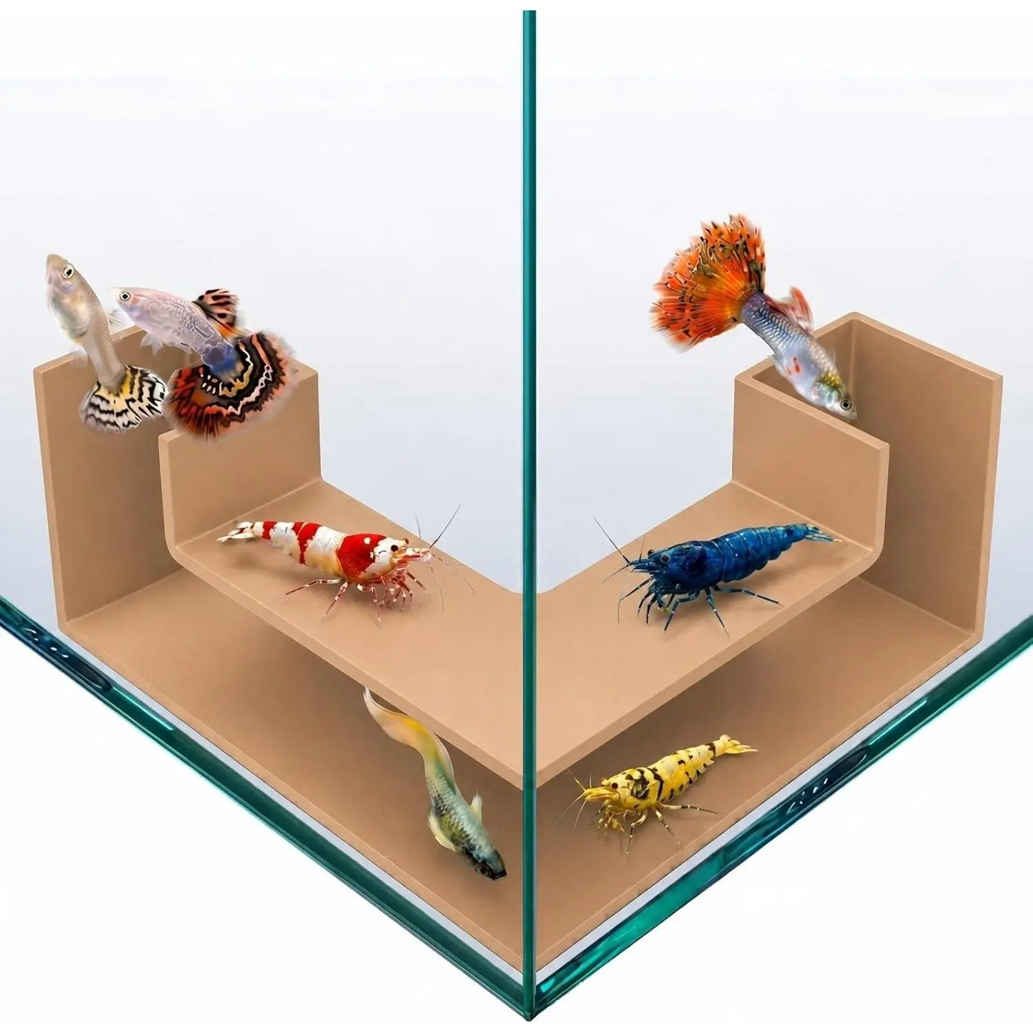 Aquarium Underground Tunnel 5" Clear Viewing Fish Tank Cave Dual-Entrance Shrimp Hideout Substrate Buried Decor for Betta Loaches Corydoras Smooth ABS