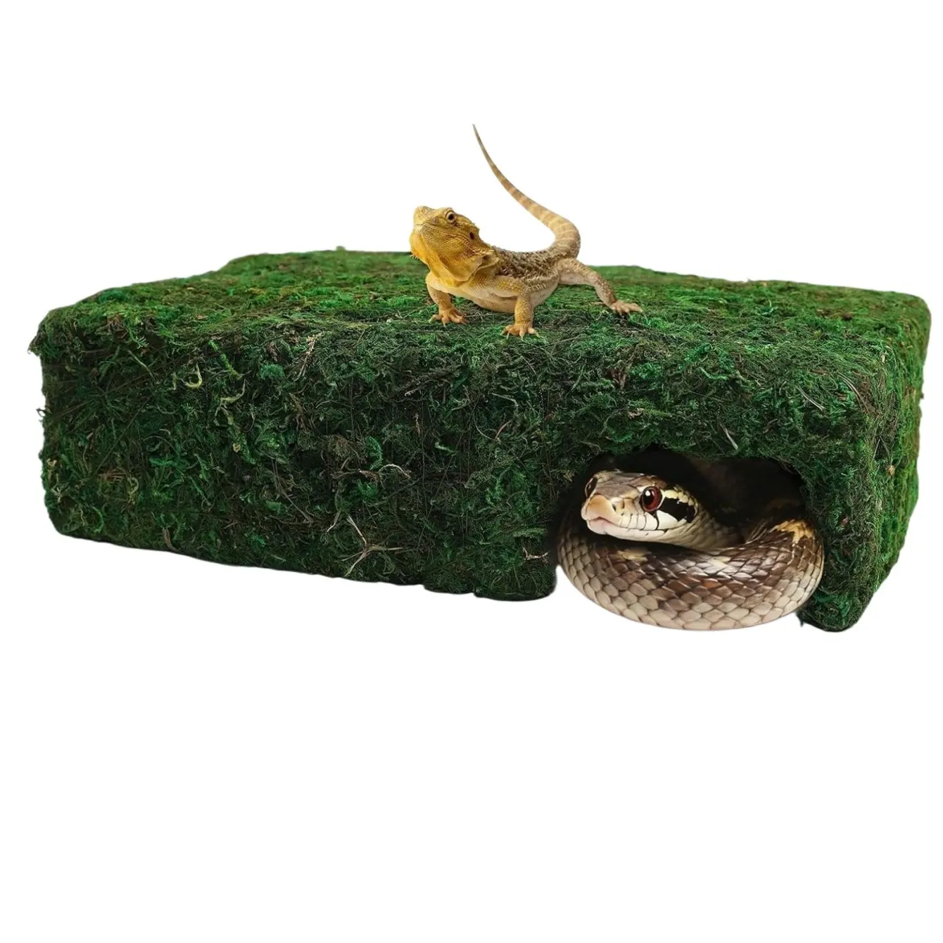 Reptile Hideout Cave, Safe Shelter Artificial Lizard House, Theme Glass Tank Snake Hole Hut, Ideal for Geckos, Hamsters, Snakes