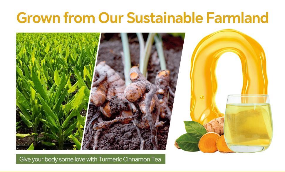 Turmeric Cinnamon Tea - 90g Tea Bags with Cinnamon Ginger & Turmeric for Body & Mind Nourishment - China Origin - Natural Ingredients for Daily Consumption