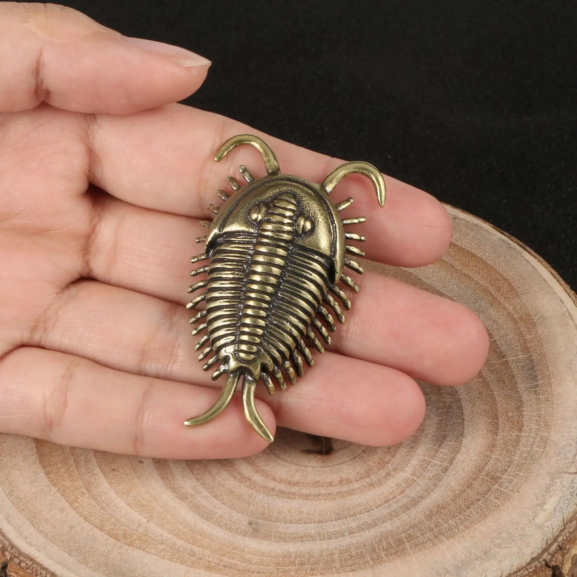Durable Cambrian Trilobite Brass-Copper Desk Ornament, Rustproof Metal Ancient Insect Figurine, Customizable Paleontological Souvenir Home Supply Gift for Home Decor, Collectors